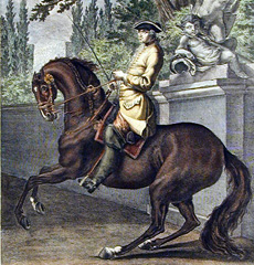Johann Elias Ridinger, Parade du Cheval trottant a gauche